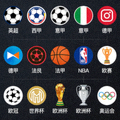 覆盖全球各大联赛和赛事功能图标展示